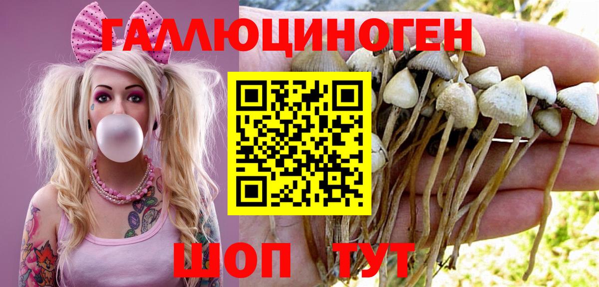 Сыктывкар  Псилоцибиновые грибы мухоморы  Вход с VPN  Галлюциногенные грибы Psilocybine cubensis 