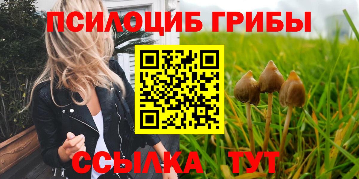 Галлюциногенные грибы Cubensis Сыктывкар